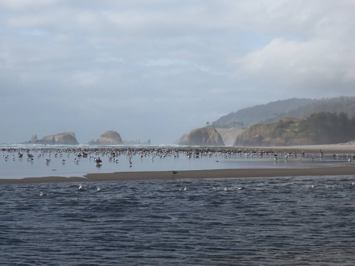 Cannon Point, OR view 2