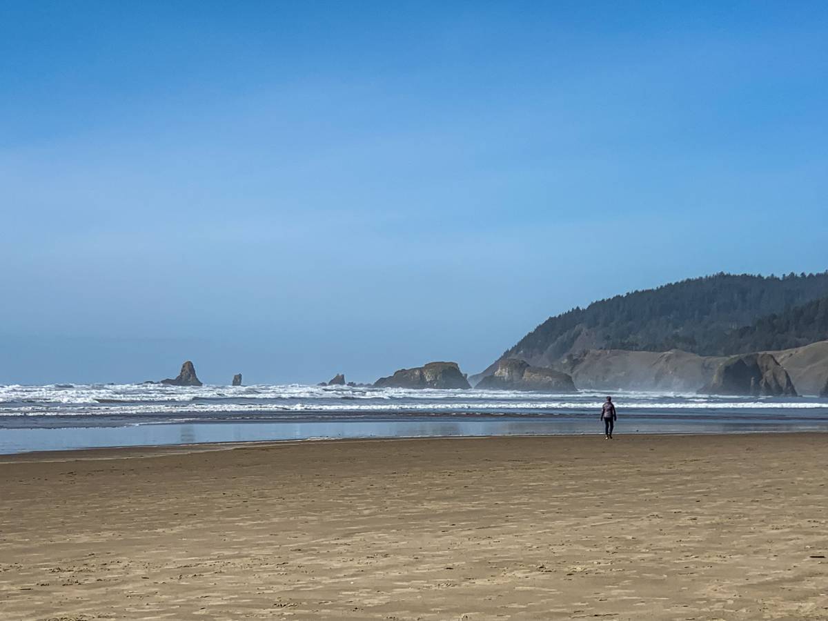 Cannon Point, OR