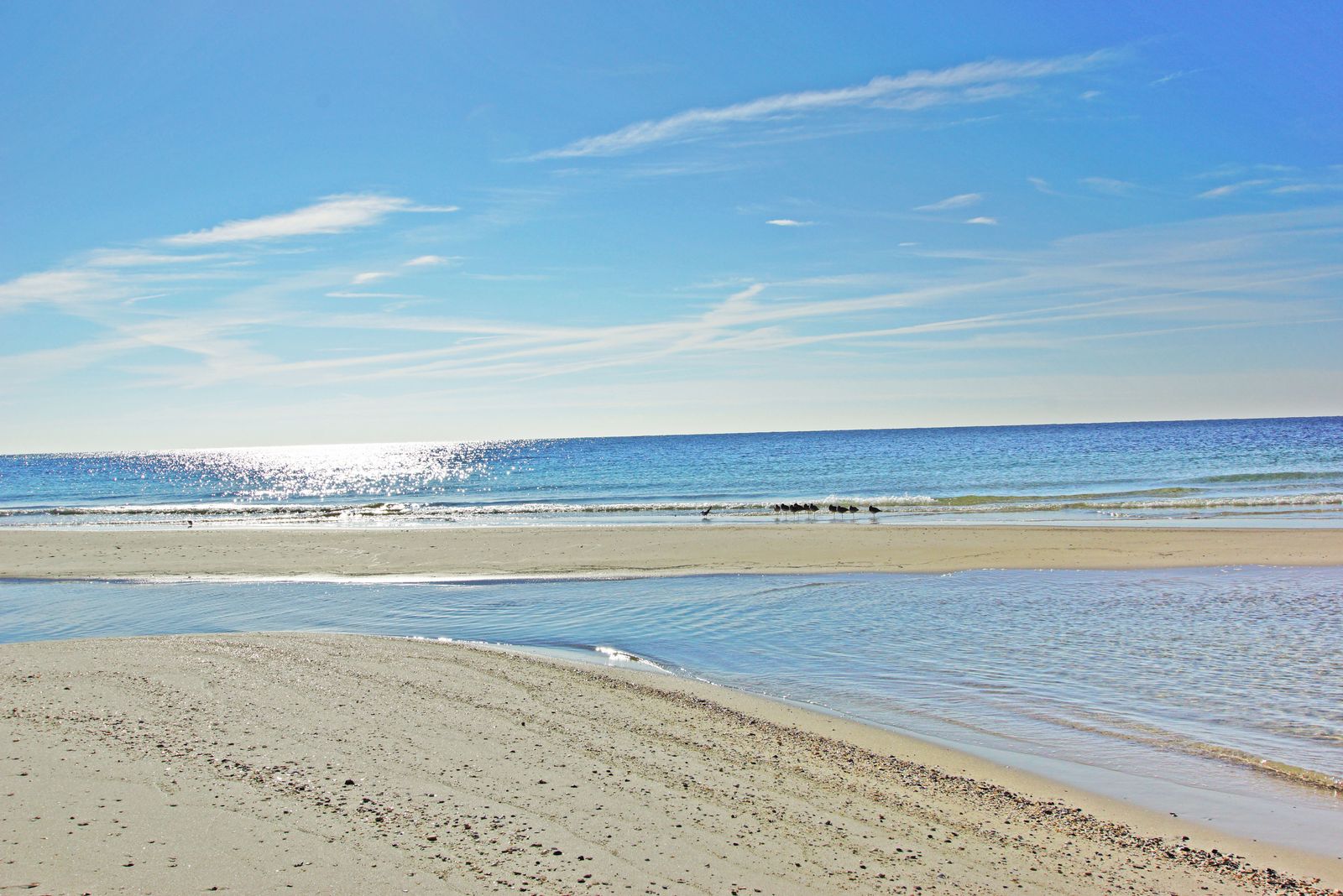 Gulf Shores, AL
