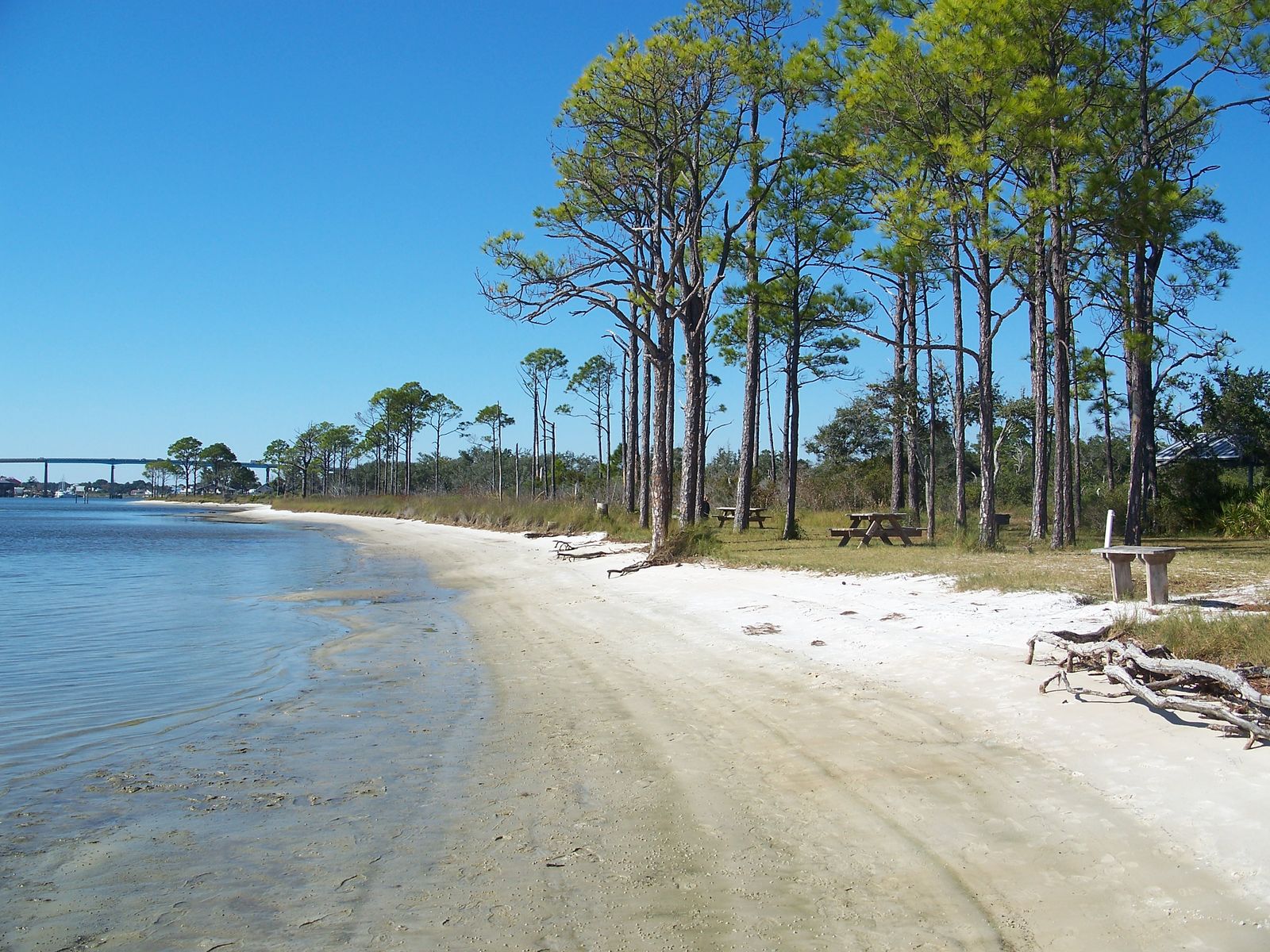 Pensacola Beach, FL view 2