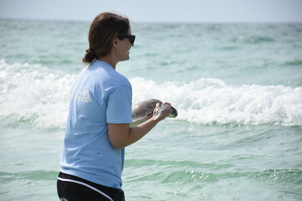 Henderson Beach State Park, FL