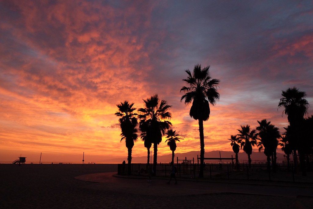 Venice Beach, CA view 1