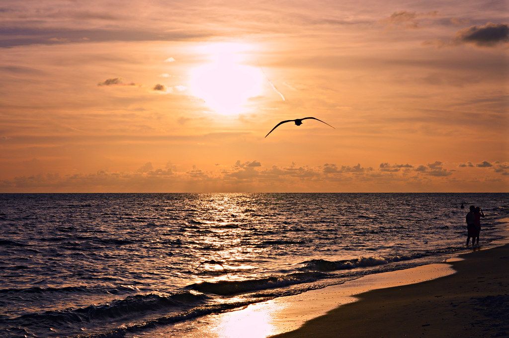 Sanibel Island, FL