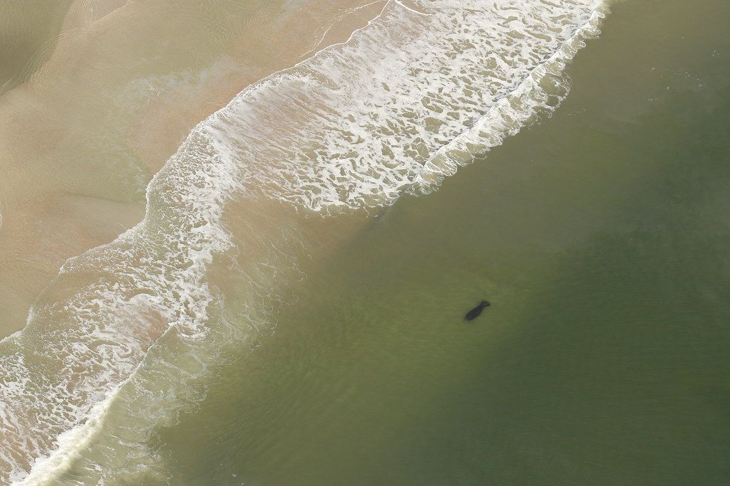Ponte Vedra Beach, FL view 2