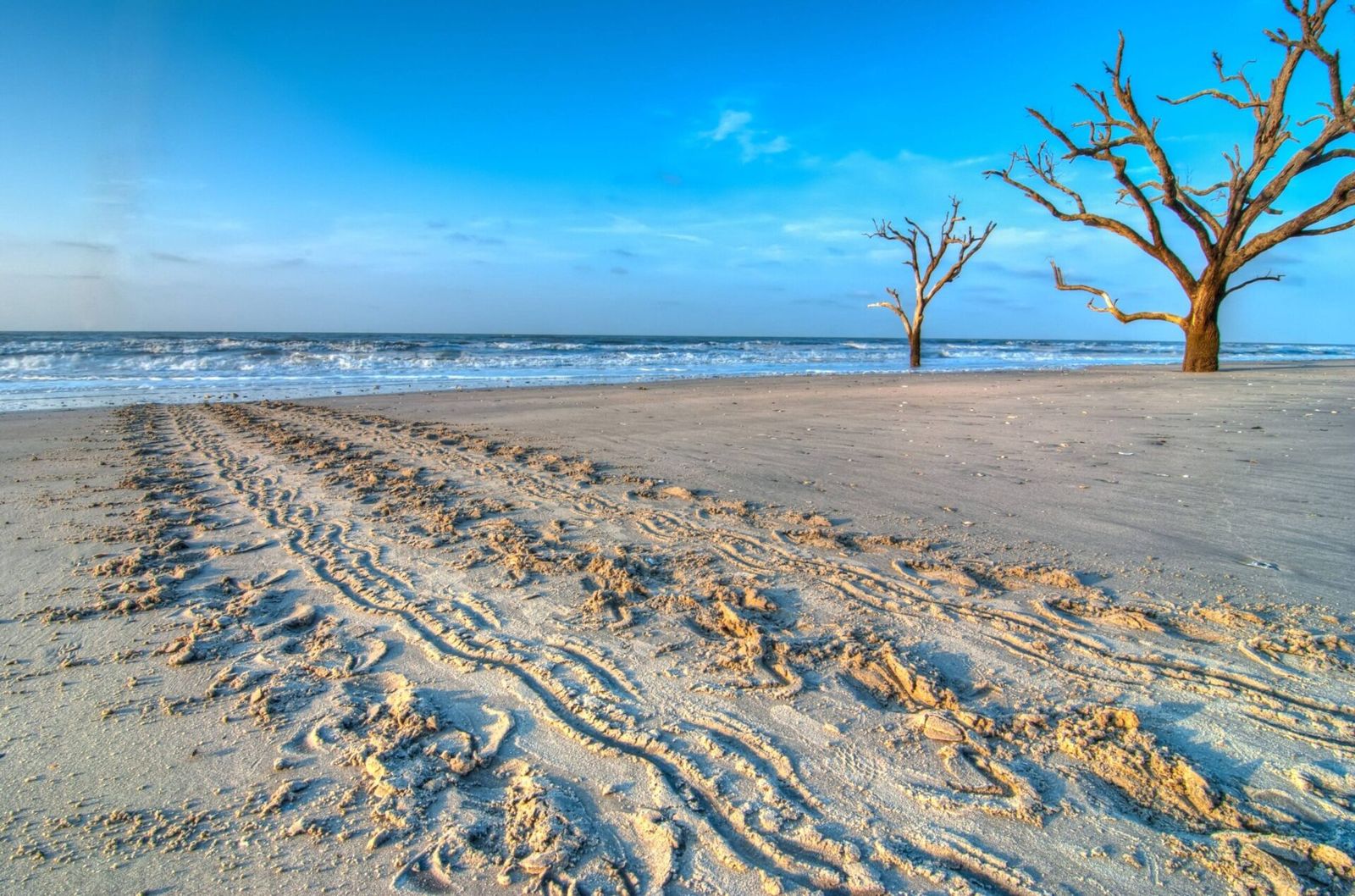 Edisto Beach, SC view 1