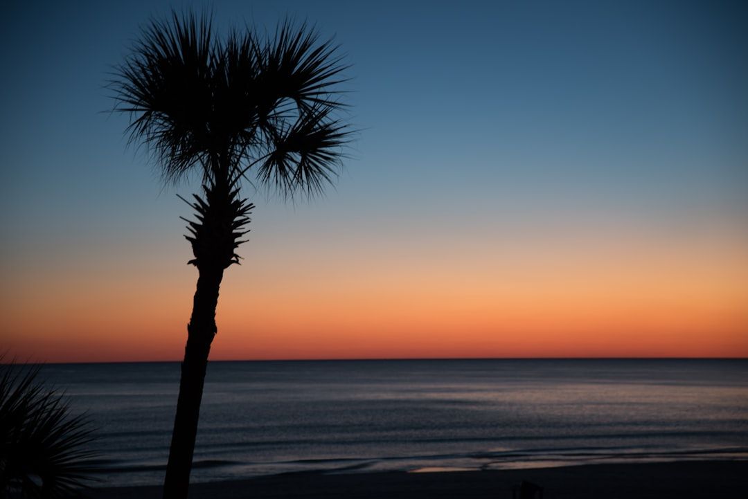 Isle of Palms, SC view 1