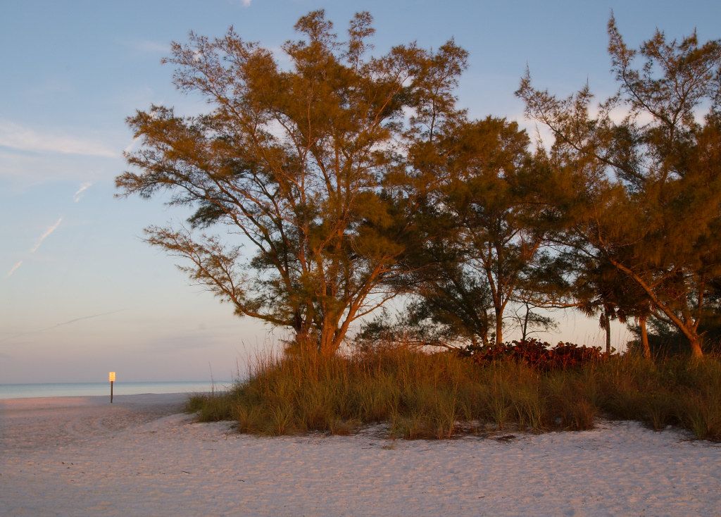 Coquina Beach, FL view 1