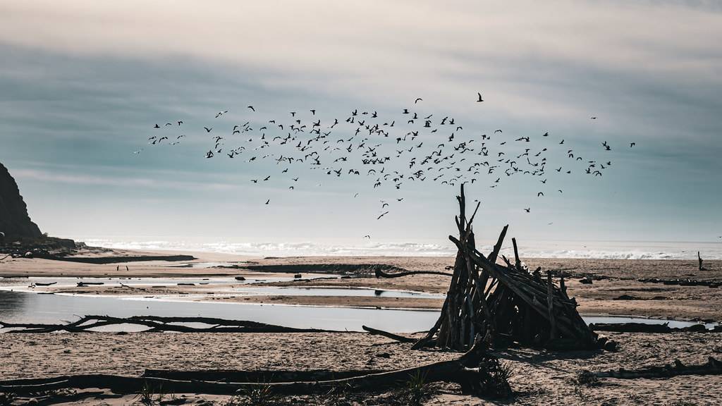 San Gregorio Beach, CA view 2