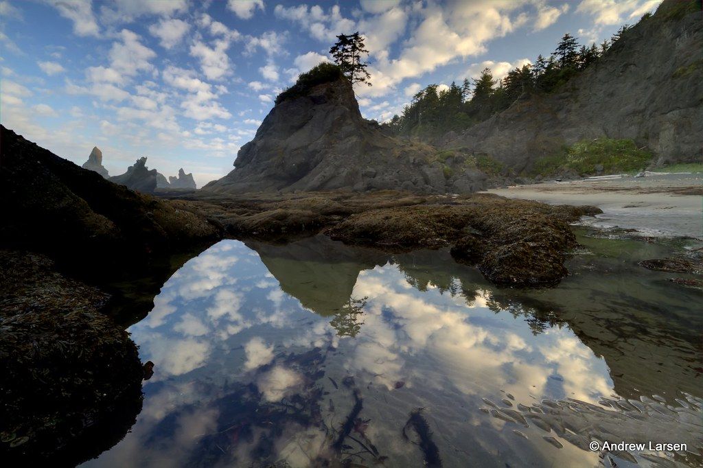 Shi Shi Beach, WA
