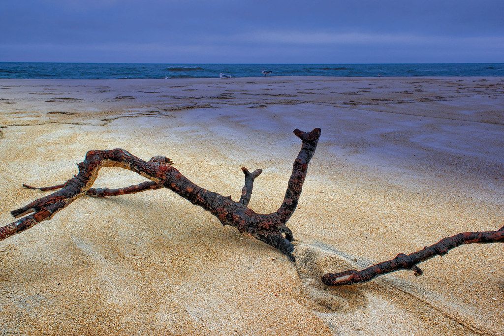 Assateague Island Beach, MD view 2