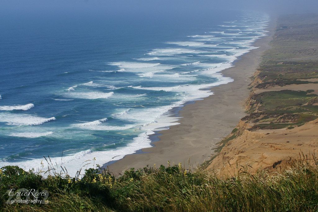Wildcat Beach (Point Reyes), CA