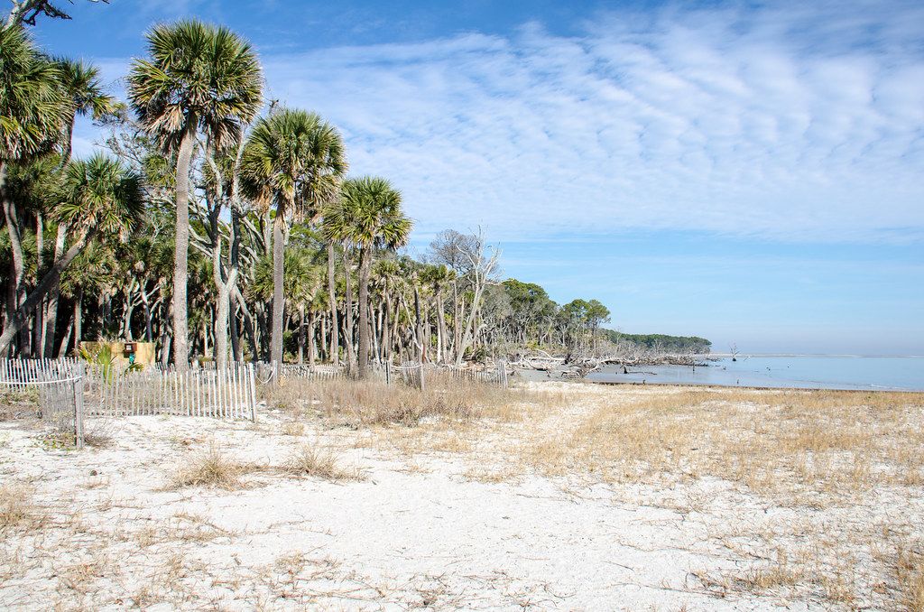 Hunting Island State Park Beach, SC view 1