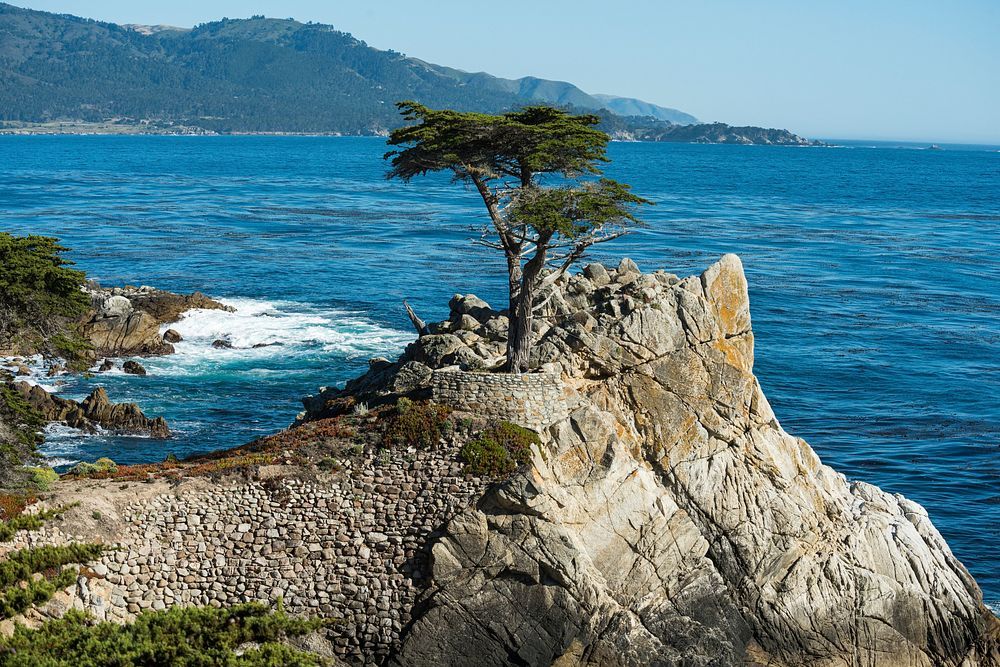 Lone Ranch Beach, OR view 1