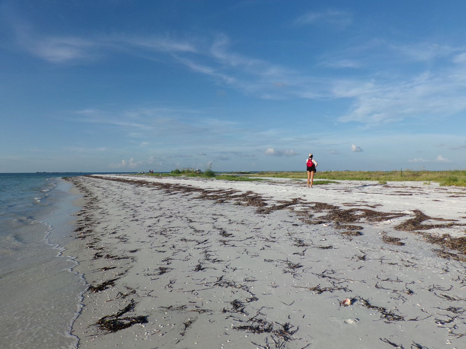 Honeymoon Island Beach, FL