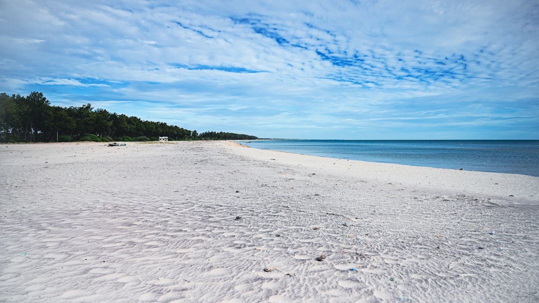 Main Beach, FL (Amelia Island) view 1