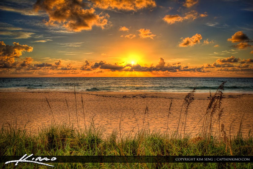 Palm Beach, FL view 2