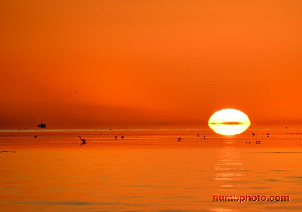Sombrero Beach, FL