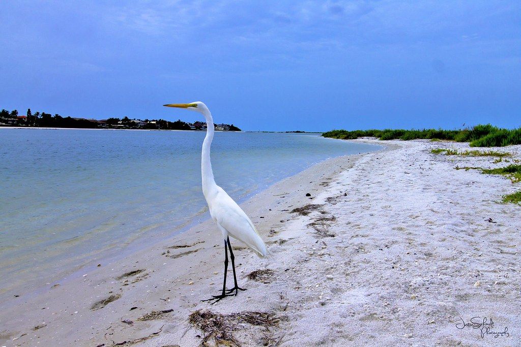 Tigertail Beach, FL