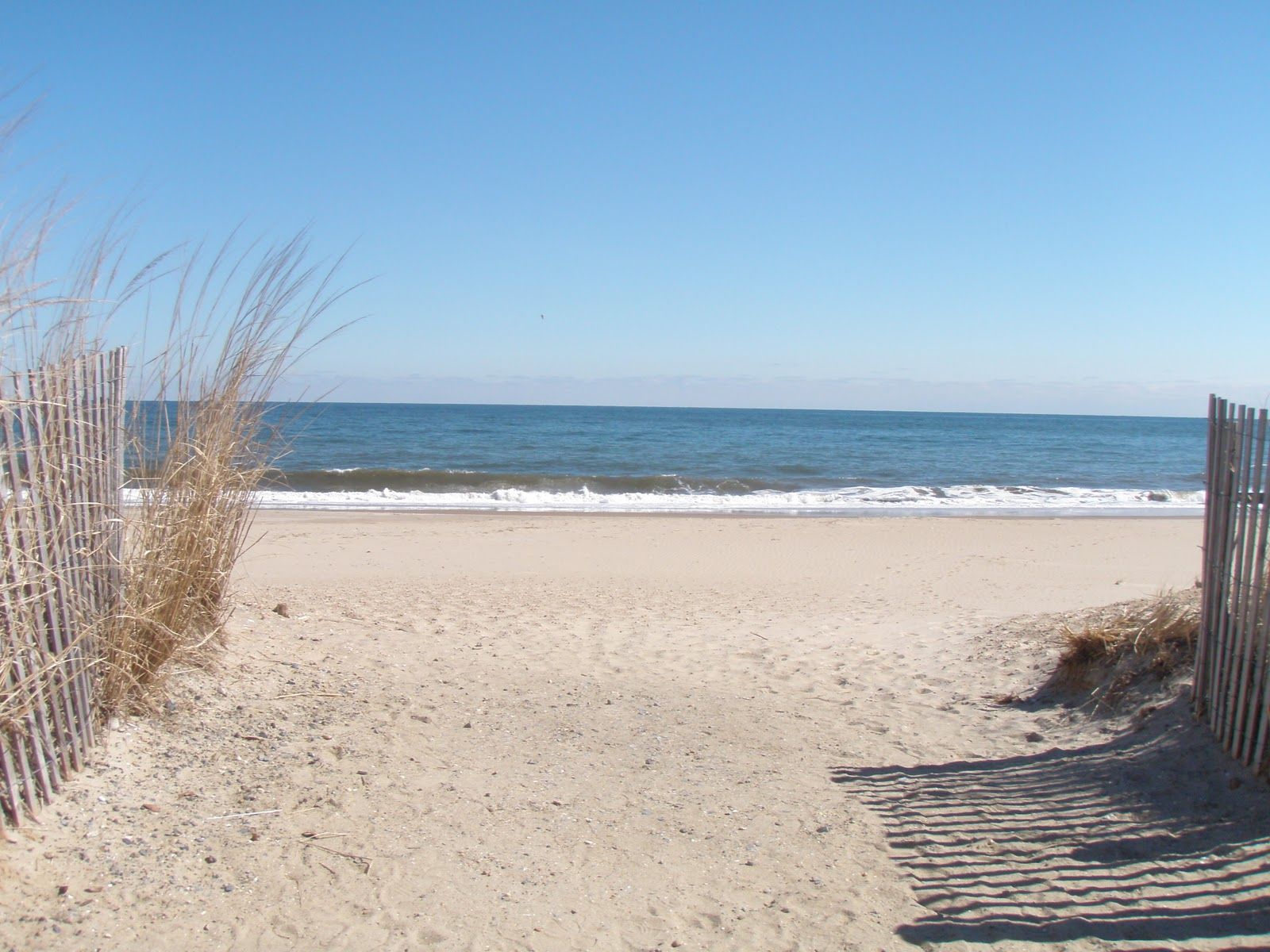 Rehoboth Beach, DE view 1