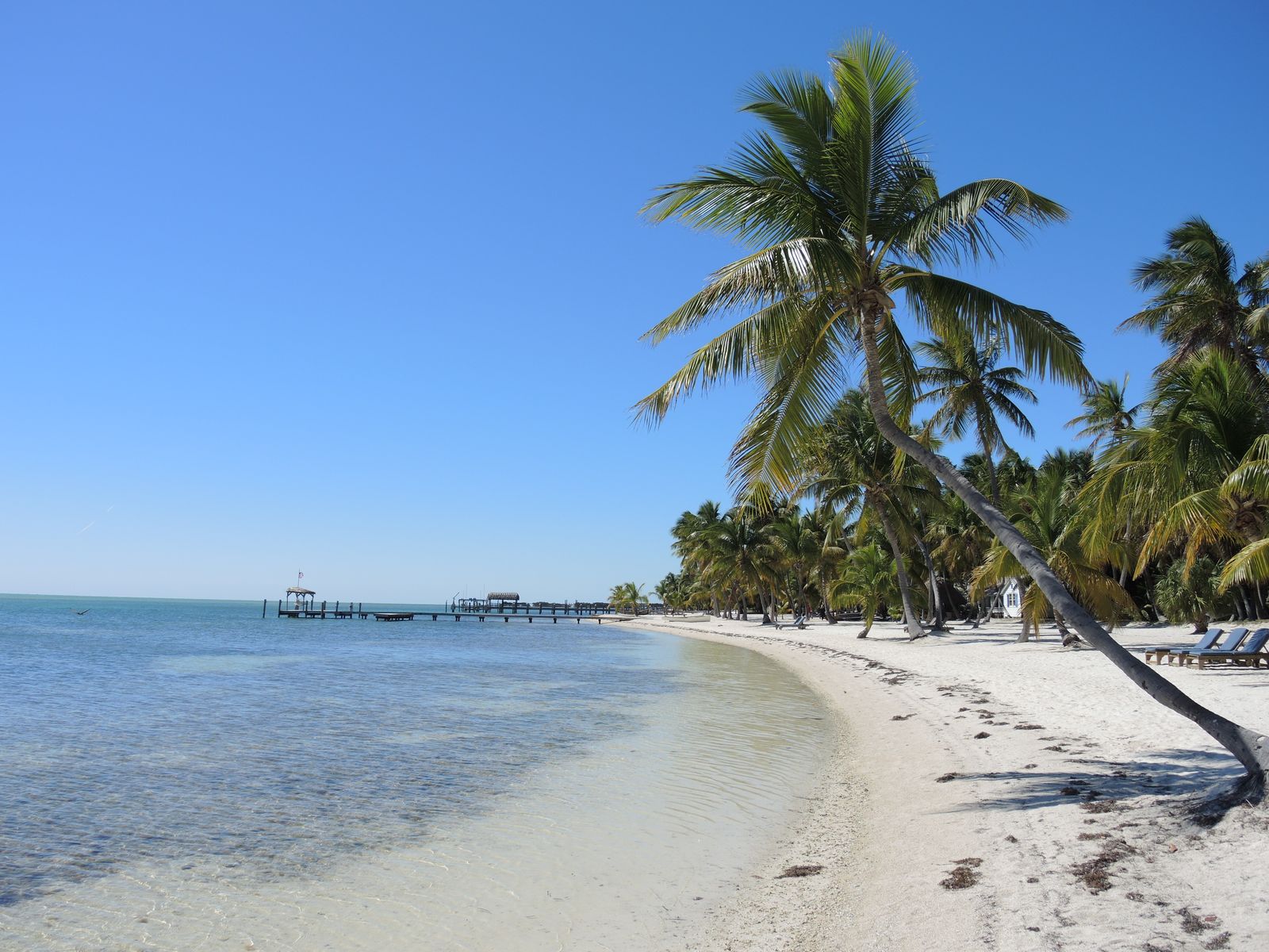 Smathers Beach, FL view 1