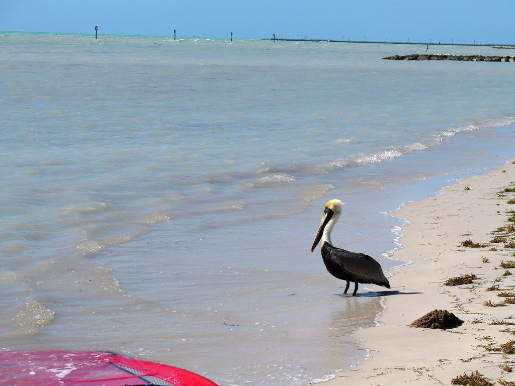 Smathers Beach, FL view 2