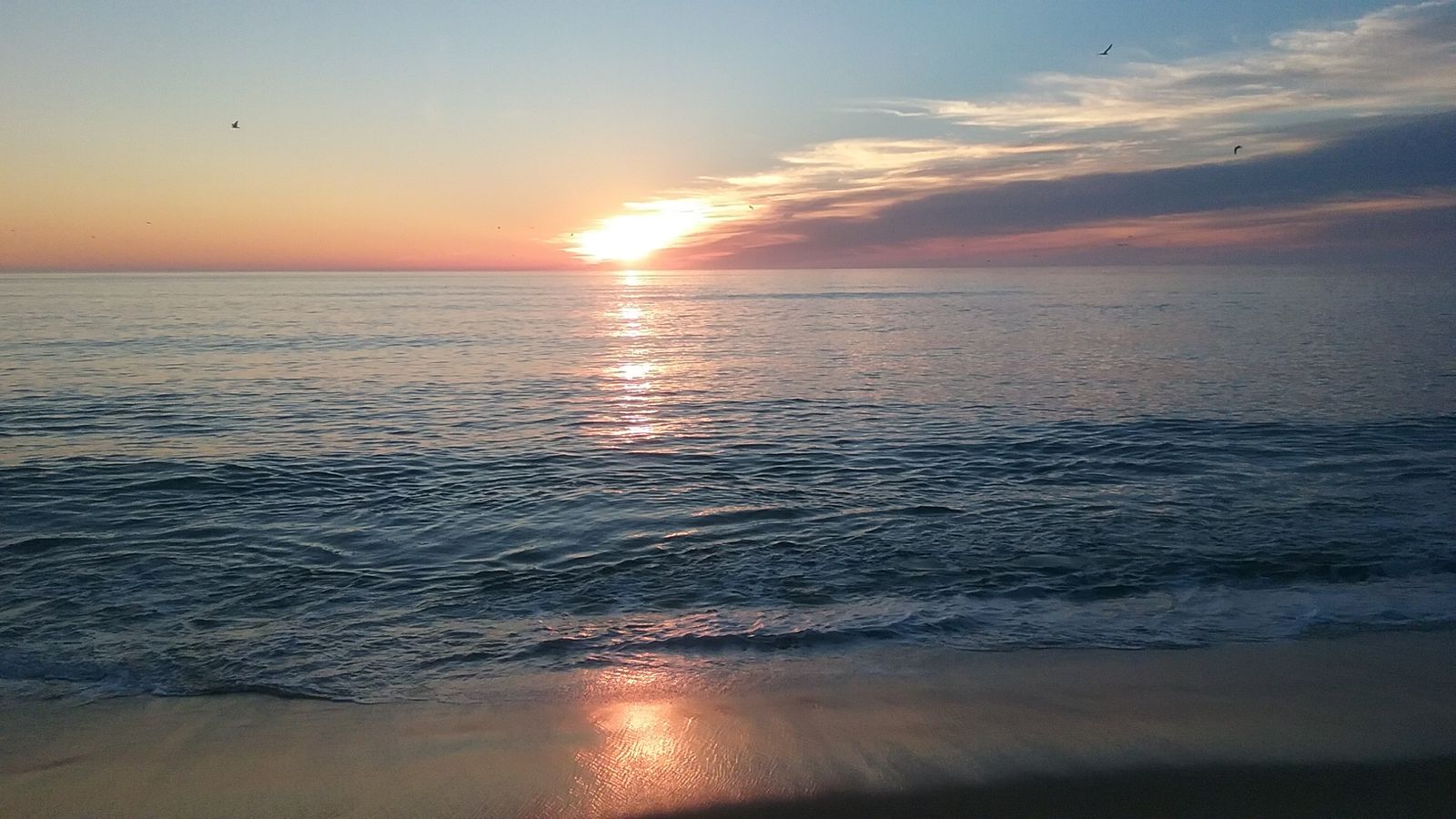 Coast Guard Beach, MA view 1