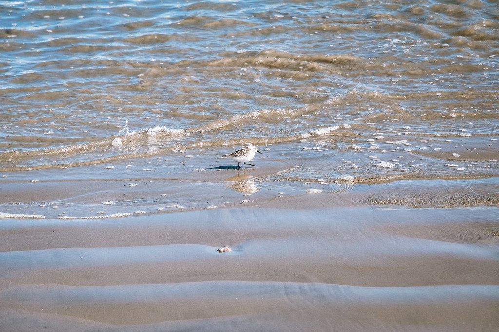 Nahant Beach, MA view 1
