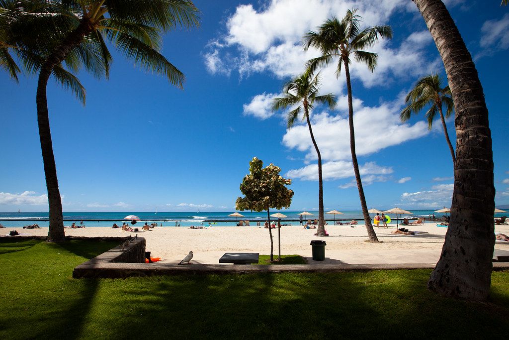 Fort DeRussy Beach, HI view 1