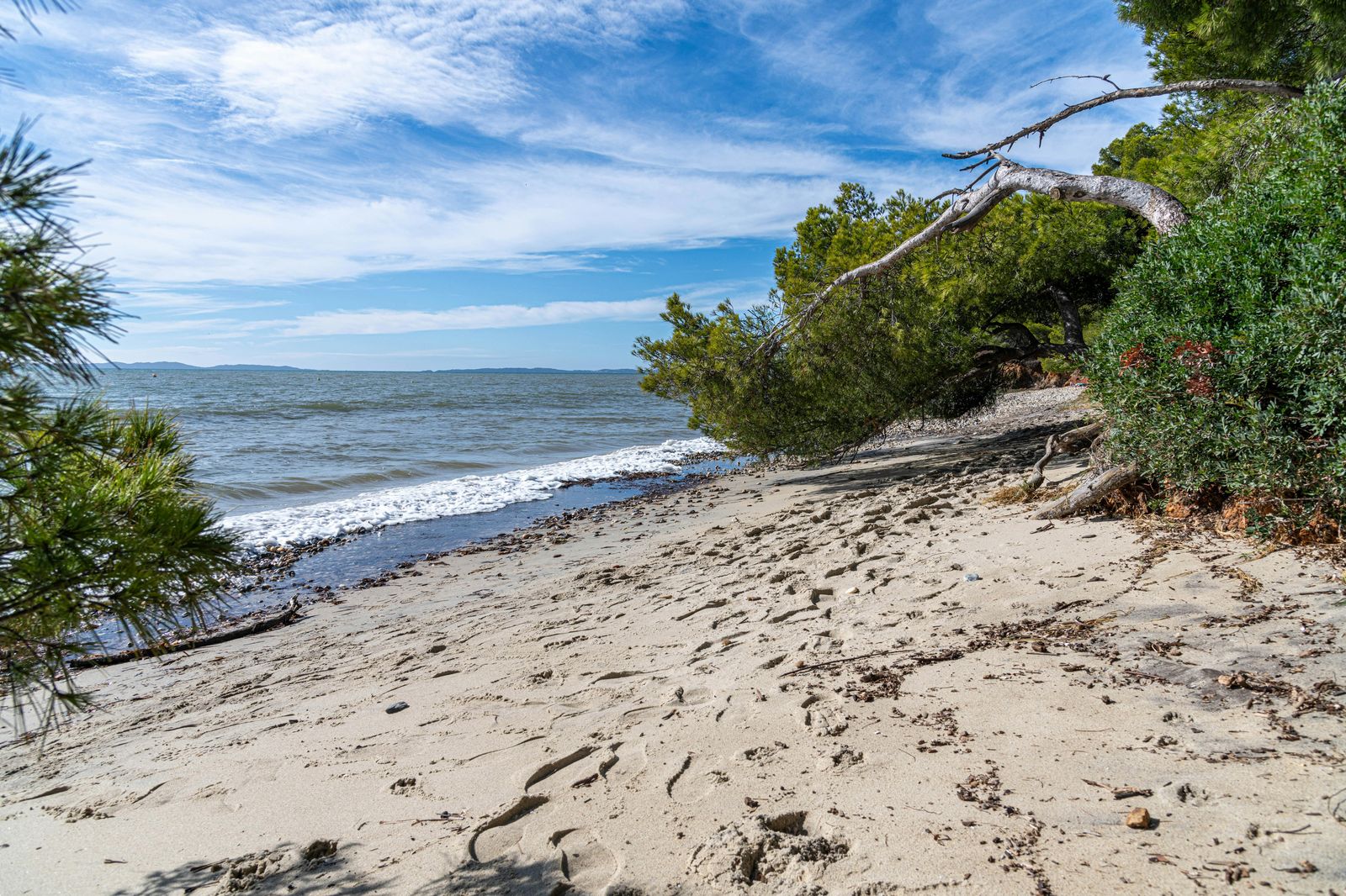 Dune's Park Beach, RI view 1