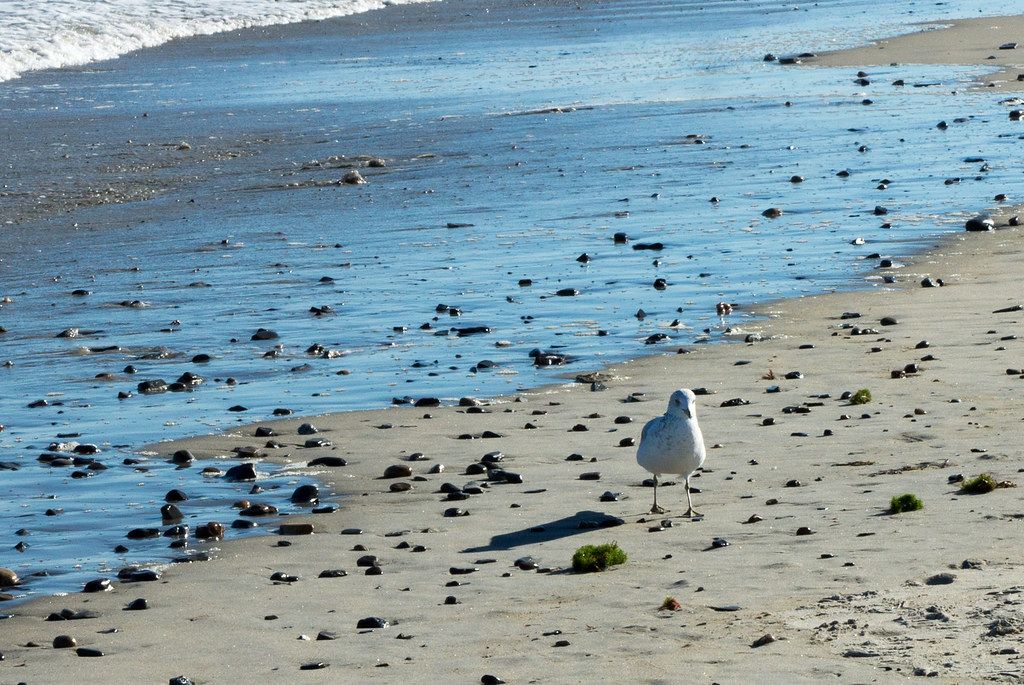 Wells Beach, ME