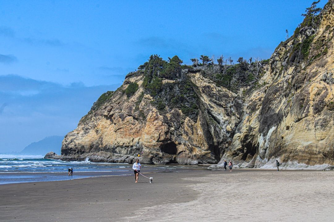 Monastery Beach, CA view 2