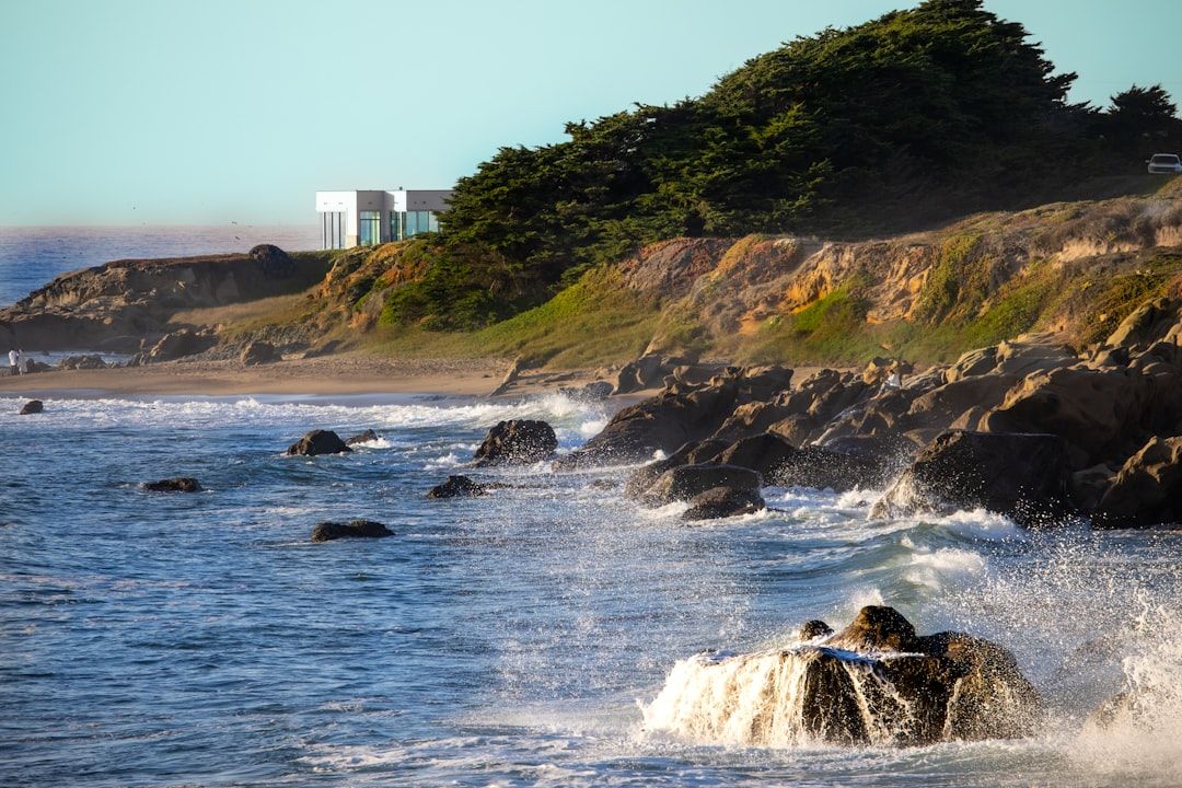 Bean Hollow State Beach, CA view 2