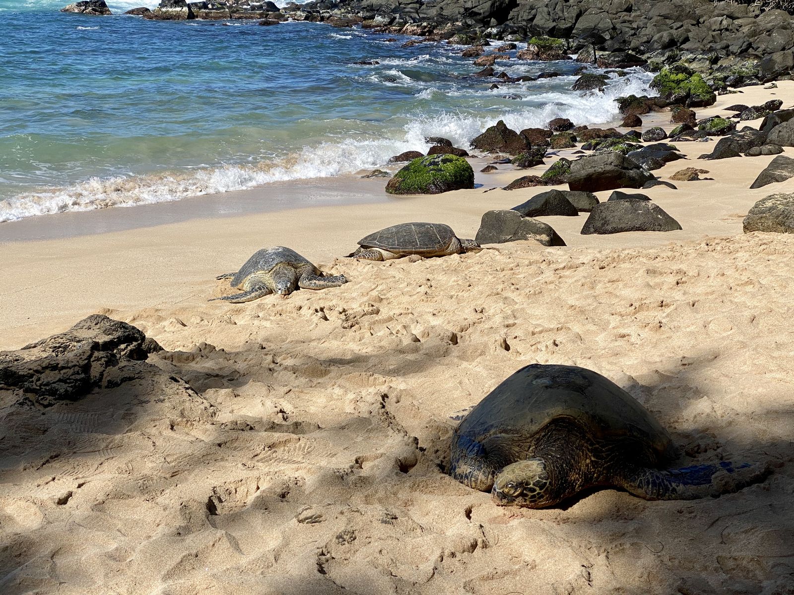 Turtle Beach, HI view 1
