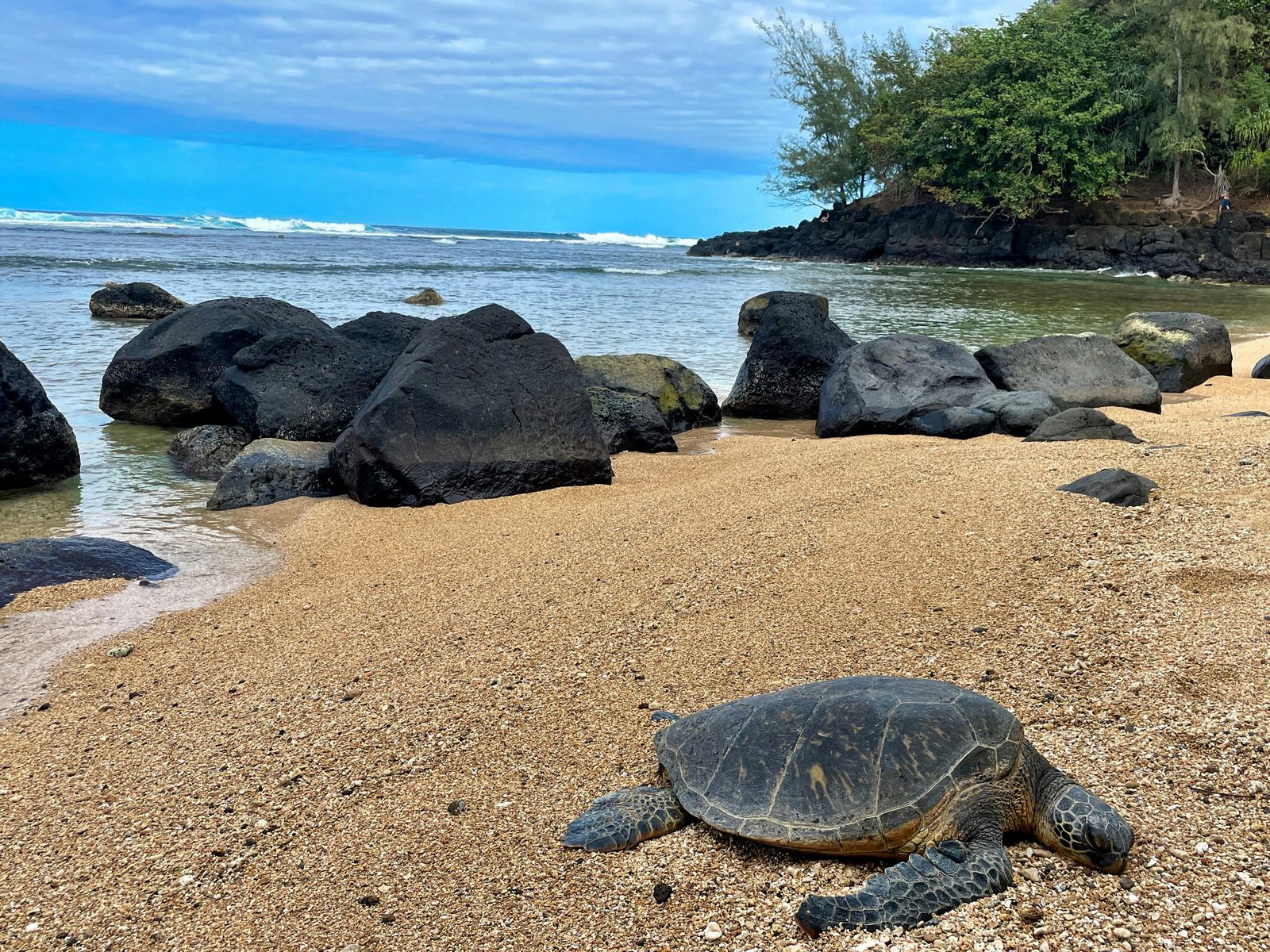Turtle Beach, HI
