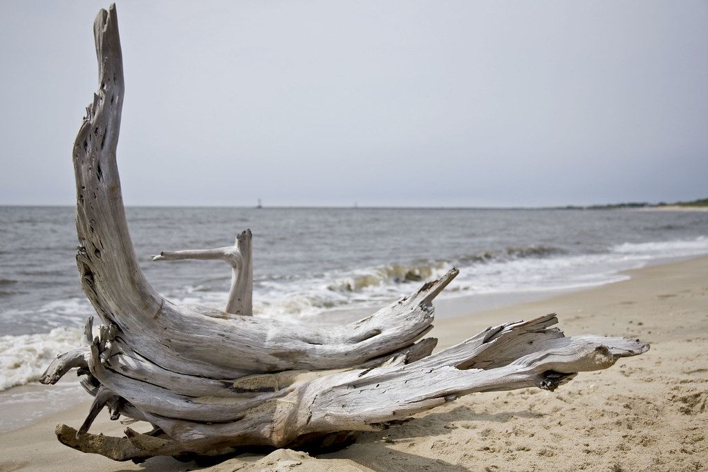 Cape May Beach, NJ view 1