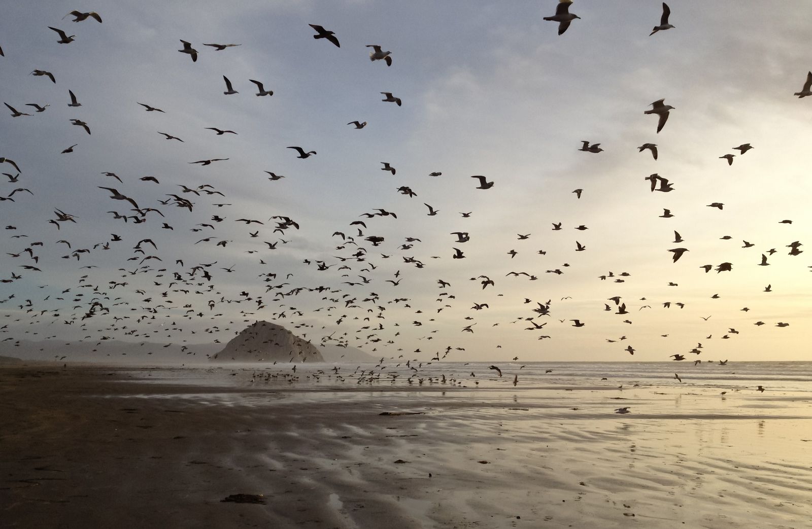 Morro Strand State Beach, CA