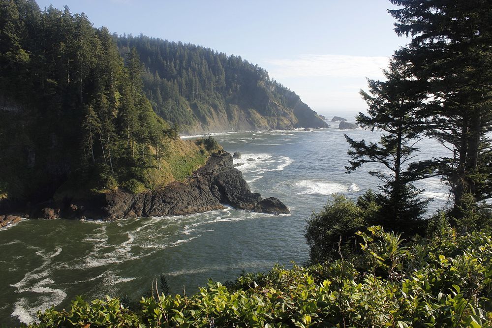 North Salmon Creek Beach, CA view 1