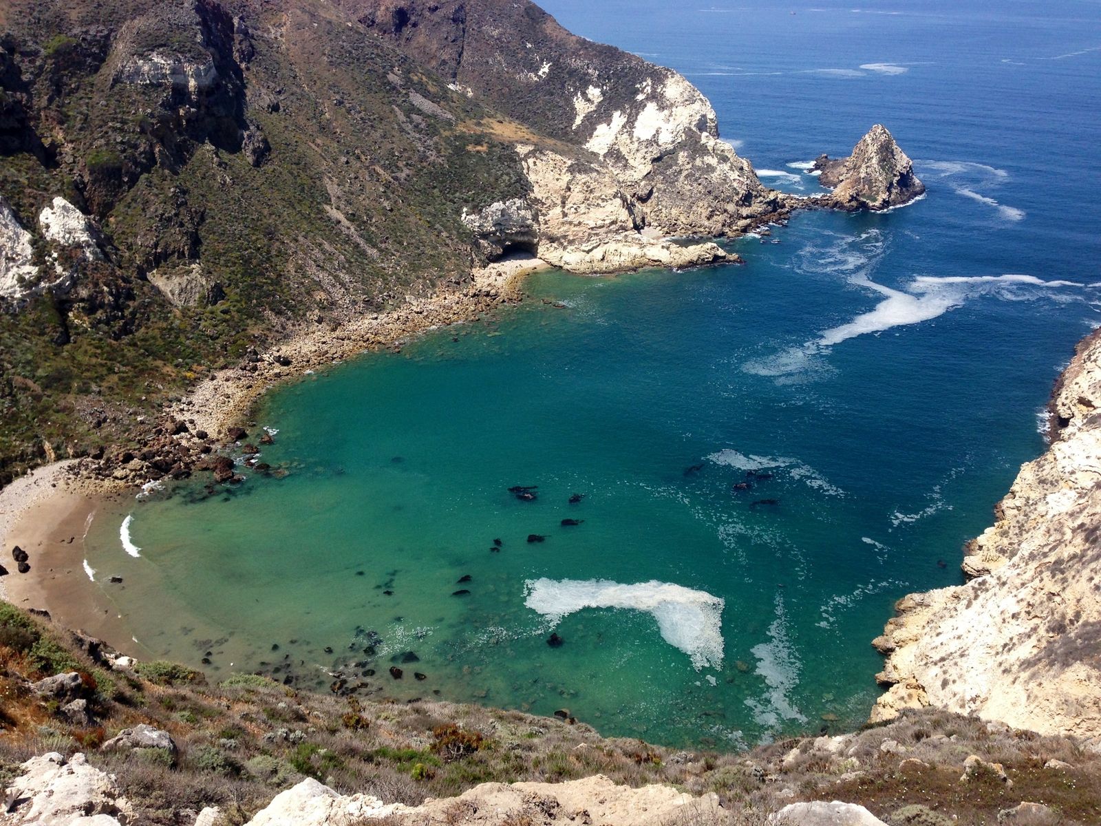 Harbor Cove Beach, CA view 2