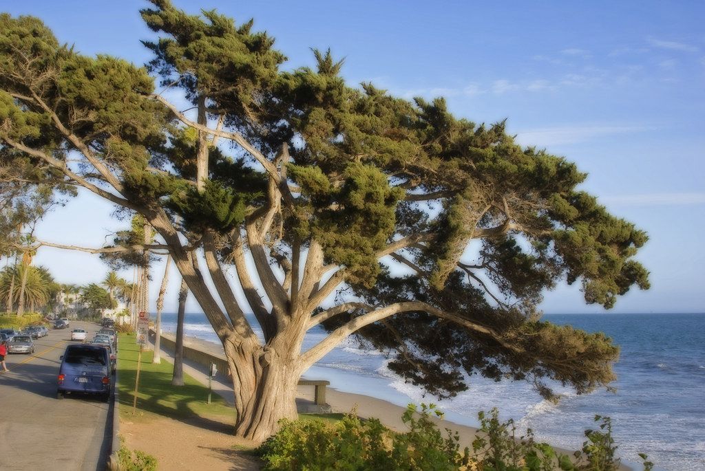 Butterfly Beach, CA view 2