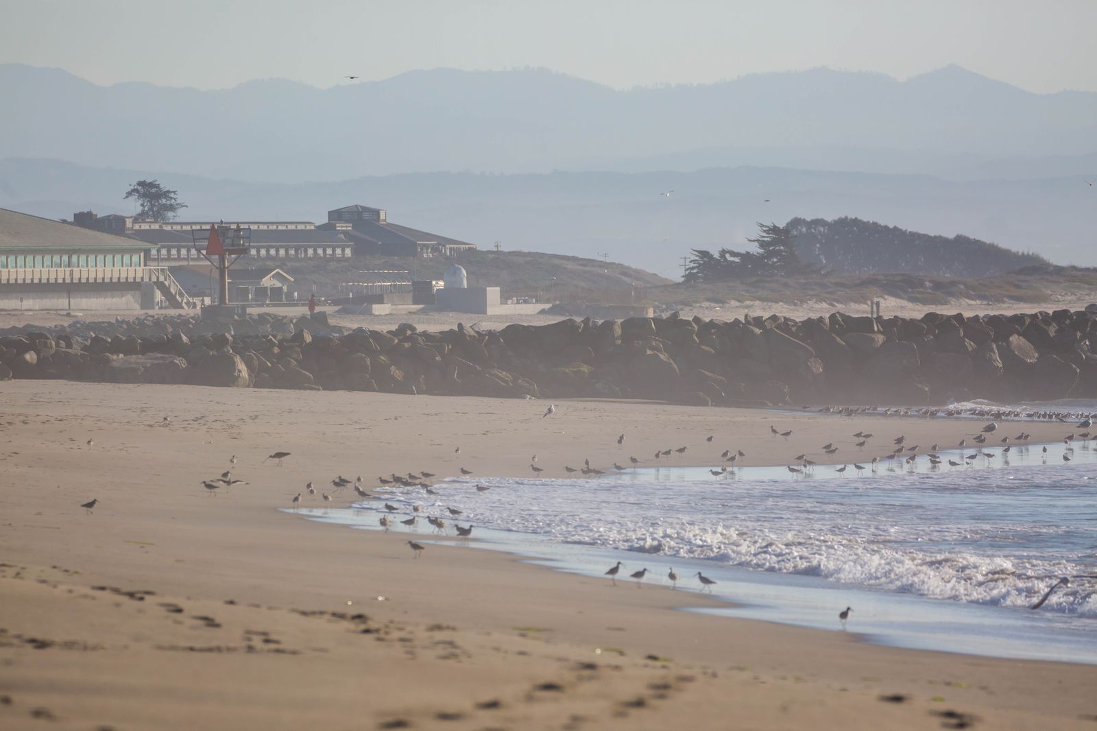 Moss Landing State Beach, CA view 1