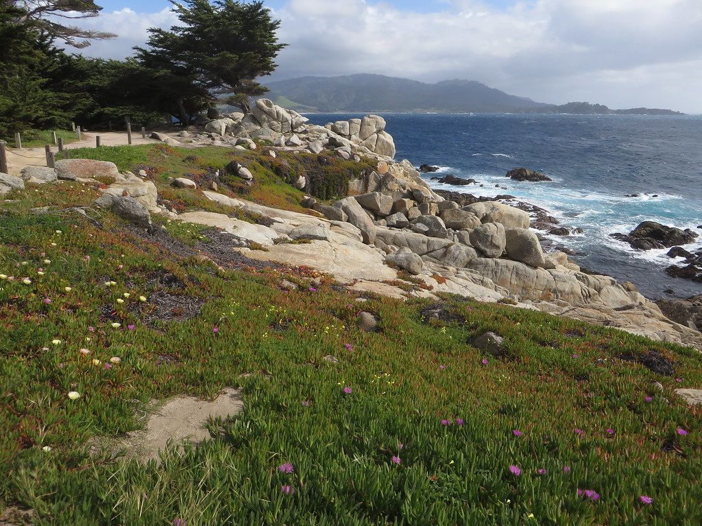 Del Monte Beach, CA view 2