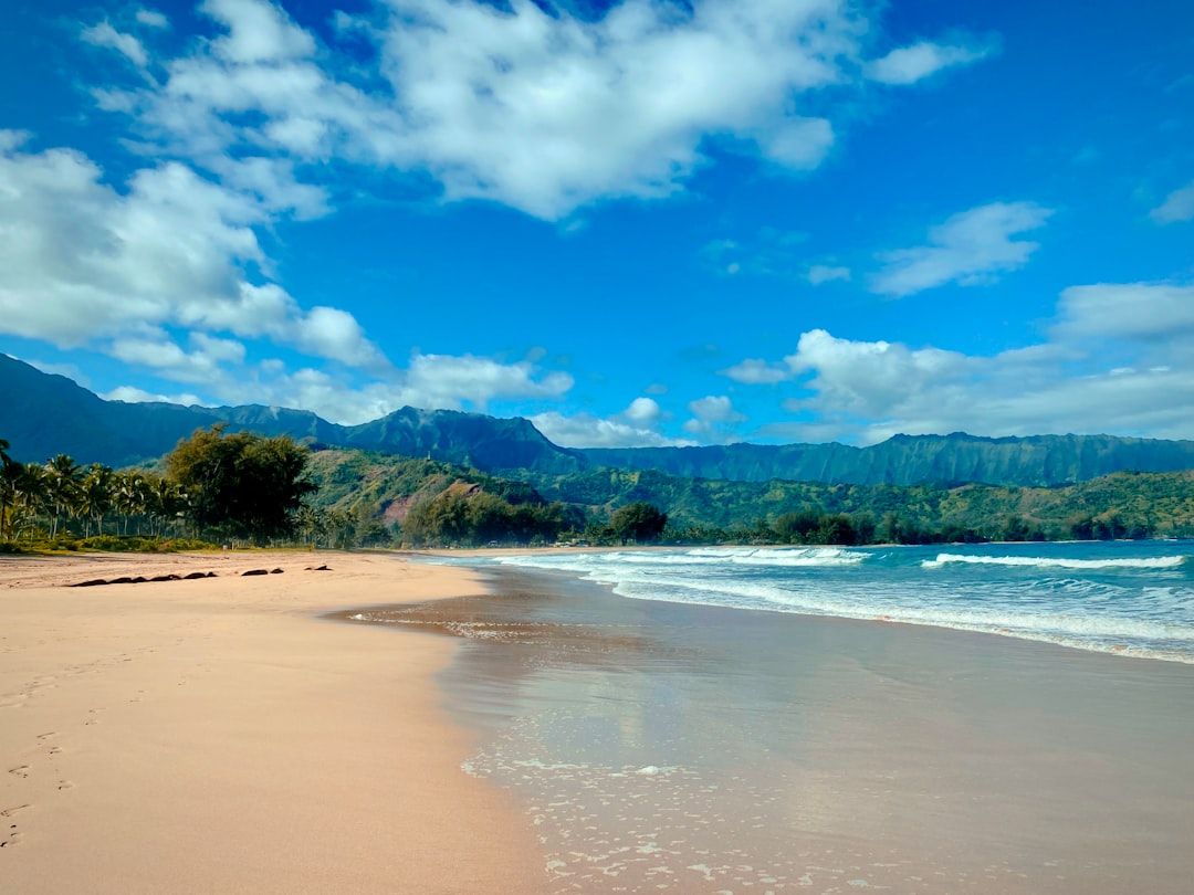 Oneuli Beach, HI view 2