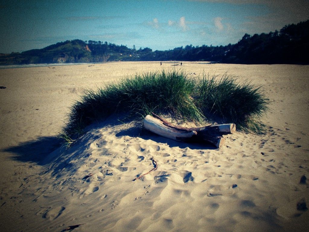Agate Beach, OR