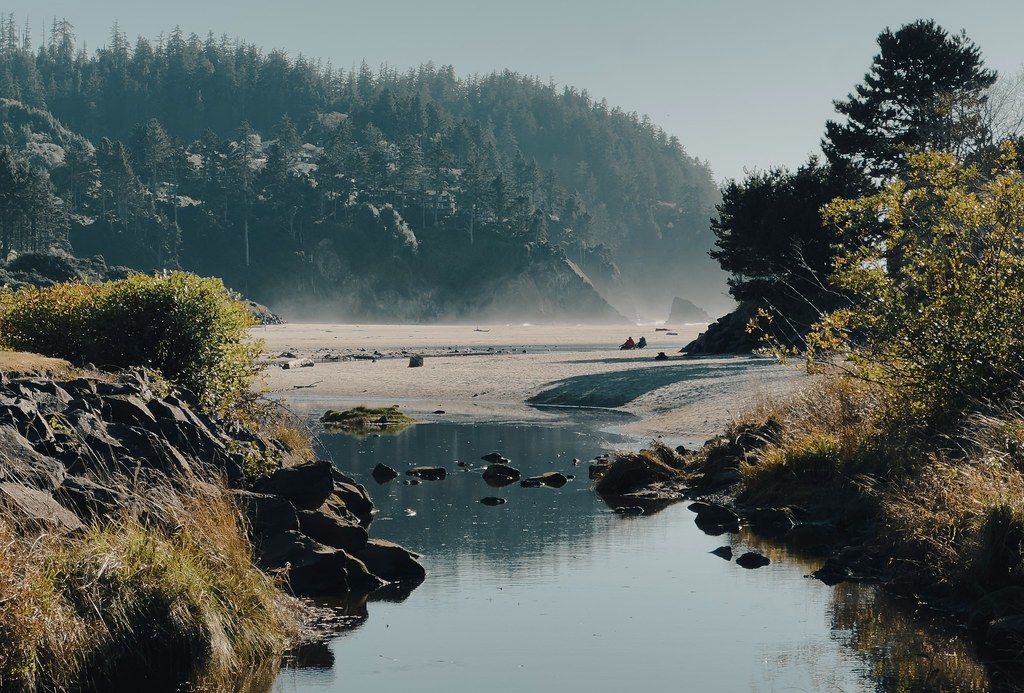 Neskowin Beach, OR view 1