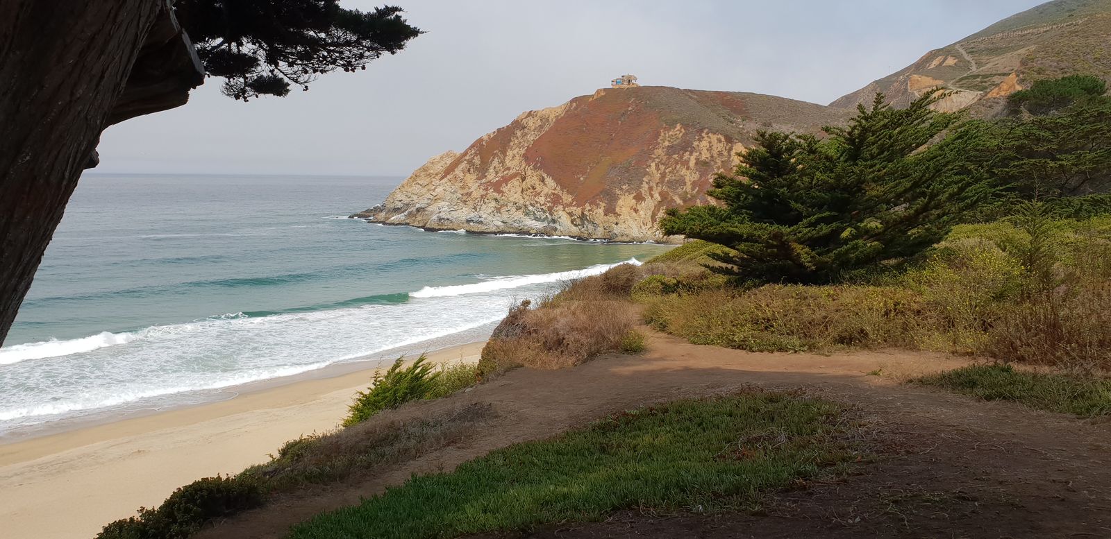 Cove Beach, CA