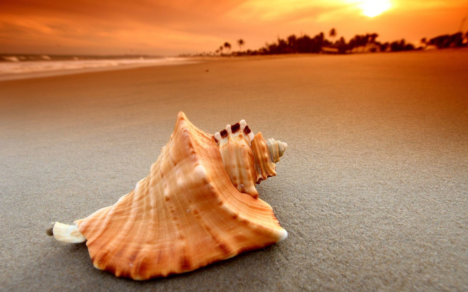 Shell Beach, LA view 2