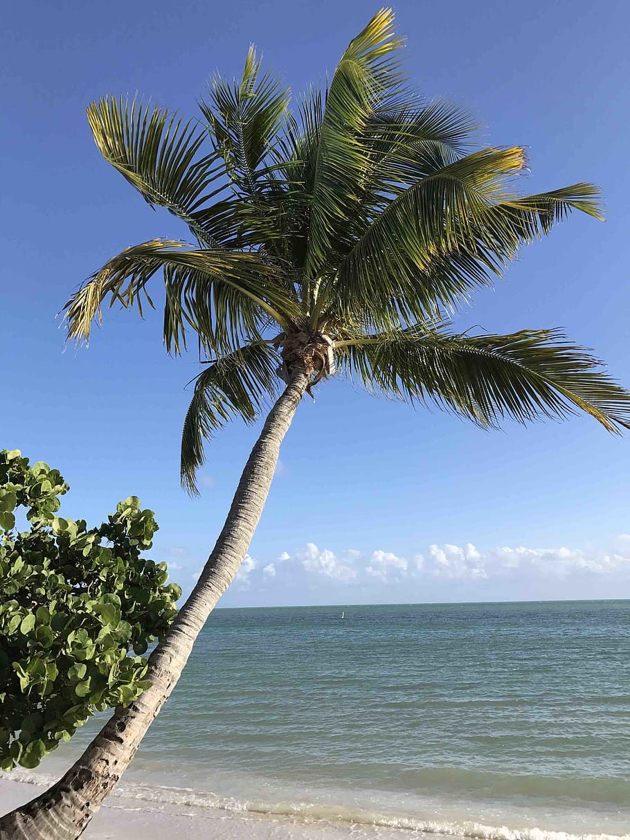 Nokomis Public Beach, FL