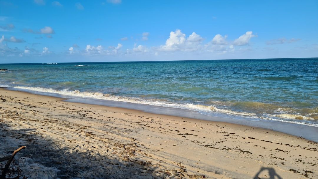 Lido Key Beach, FL view 2