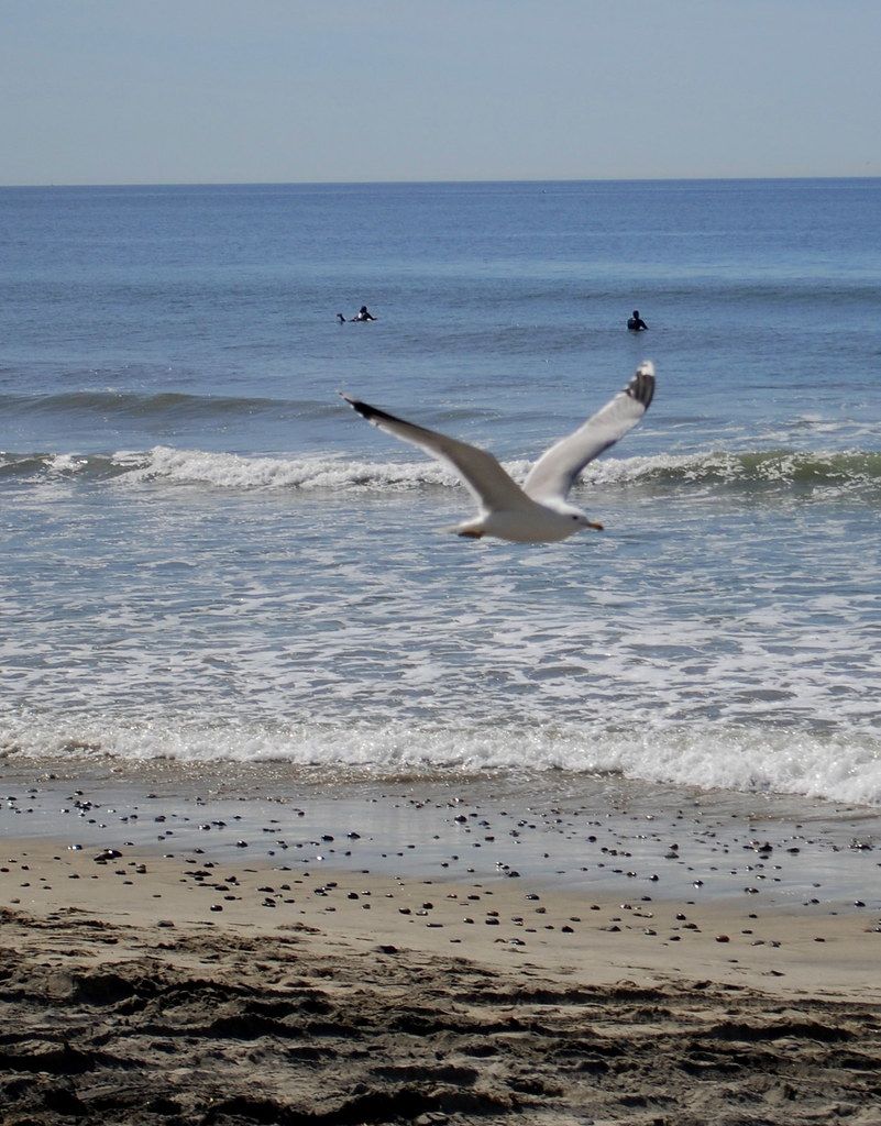 Oceanside Harbor Beach, CA