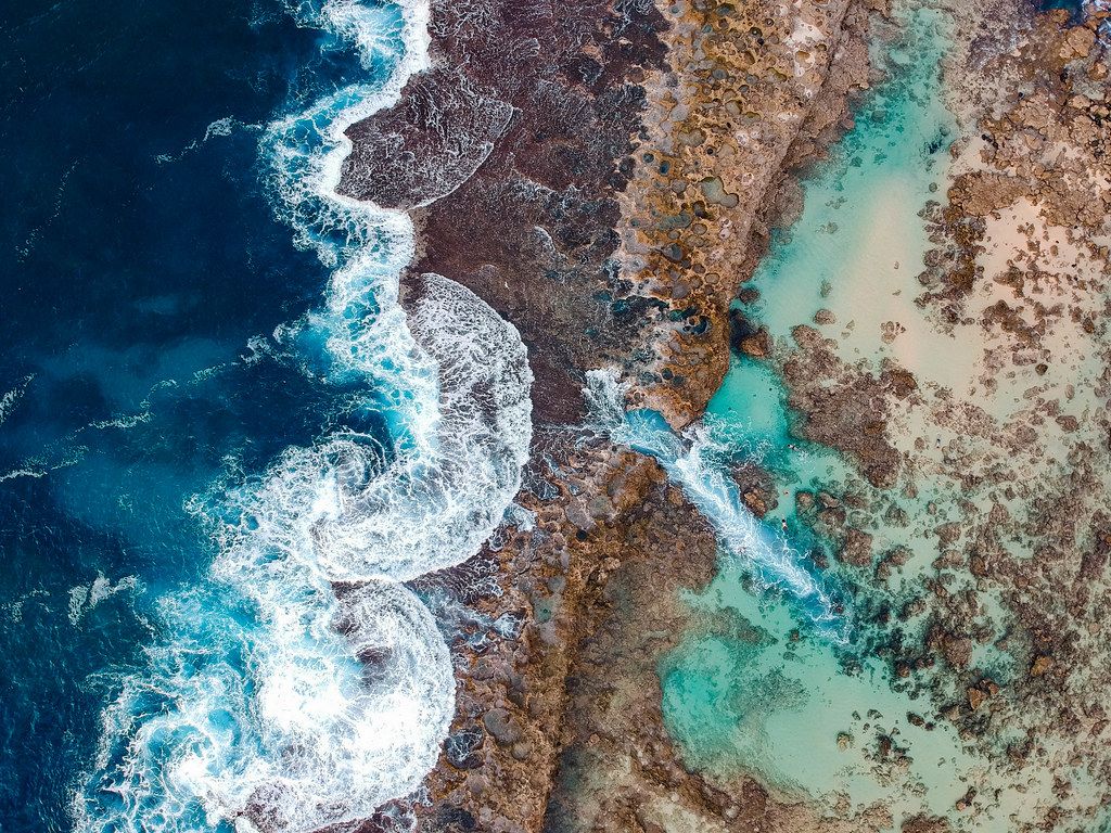Shark’s Cove, HI